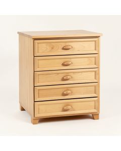 5 Drawer Storage Chest (synthetic illustration; no displayed measurements)