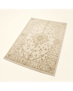Norcross Ivory Branch Oriental Area Rug (synthetic illustration; no displayed measurements)