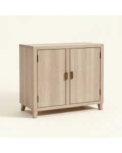 2 Door Accent Cabinet (synthetic illustration; no displayed measurements)