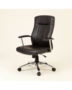 Shapleigh Ergonomic Office Chair (synthetic illustration; no displayed measurements)