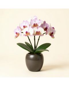 Artificial Cymbidium Orchids Floral Arrangement In Vase (synthetic illustration; no displayed measurements)