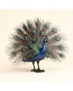 Brass Peacock (synthetic illustration; no displayed measurements)