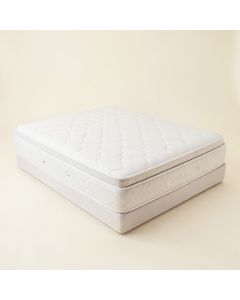 Sealy Conform Essentials Split California King 9.5 '' Firm Memory Foam Mattress (synthetic illustration; no displayed measurements)