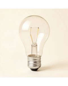 Incandescent Light Bulb (synthetic illustration; no displayed measurements)
