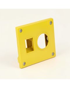 California , San Diego , Hybrid Sunflower 2-Gang Toggle Light Switch Wall Plate (synthetic illustration; no displayed measurements)