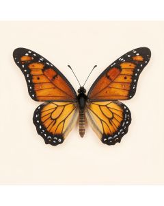 Nature Inspired Butterfly 3 Piece Set (synthetic illustration; no displayed measurements)