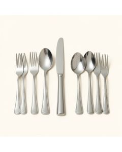 Aliene Cutlery 60 Piece 18/10 Stainless Steel Flatware Set , Service For 12 (synthetic illustration; no displayed measurements)