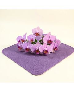 Orchids 3 Colors Blooming Flourishing Environment Theme Cream Violet Dried Rose Kitchen Mat (synthetic illustration; no displayed measurements)