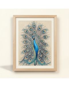Ashton Art & Décor Embellished Peacock I Framed Painting Print (synthetic illustration; no displayed measurements)