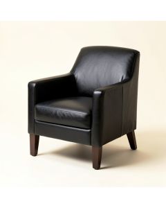 Anund Upholstered Arm Chair In Black (synthetic illustration; no displayed measurements)