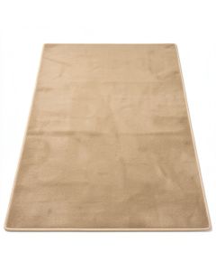Aster Natural Area Rug (synthetic illustration; no displayed measurements)