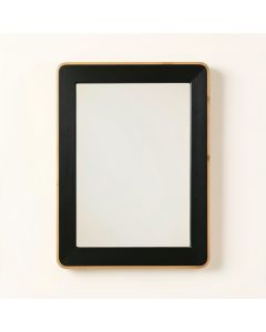 Moss Branch Framed Wall Mirror - Black (synthetic illustration; no displayed measurements)