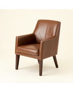 Adriel Upholstered Dining Chair (synthetic illustration; no displayed measurements)