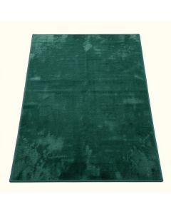 Llewellyn Oriental Teal Area Rug (synthetic illustration; no displayed measurements)