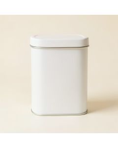 Spruce Bend Storage Canister With Lid - White (synthetic illustration; no displayed measurements)