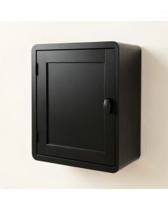 Vale Dell Wall-Mounted Laundry Cabinet - Black (synthetic illustration; no displayed measurements)