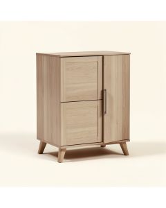 Cecile 1 Door Accent Cabinet (synthetic illustration; no displayed measurements)