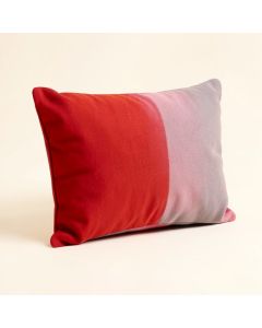 Guppy Fish Lumbar Pillow (synthetic illustration; no displayed measurements)
