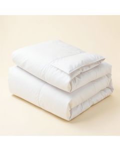 Ananias Duvet Cover Set (synthetic illustration; no displayed measurements)