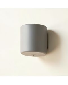Birch Canyon Wall Sconce Mounted On A Plain Wall - Gray (synthetic illustration; no displayed measurements)