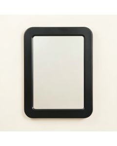 Spruce Branch Framed Wall Mirror - Black (synthetic illustration; no displayed measurements)