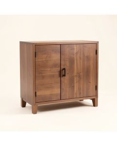 Oli 2 Door Accent Cabinet (synthetic illustration; no displayed measurements)