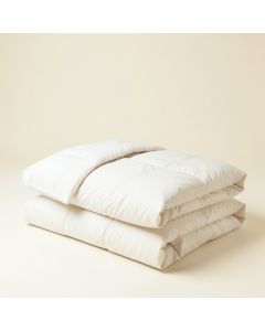 Tulare Box Comforter Set (synthetic illustration; no displayed measurements)