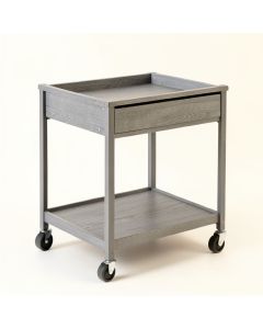 Elm Branch Empty Rolling Workshop Cart - Gray (synthetic illustration; no displayed measurements)