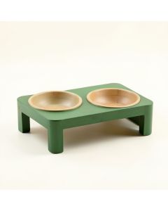 Birch Dale Pet Feeding Stand With Two Plain Empty Bowls - Green (synthetic illustration; no displayed measurements)