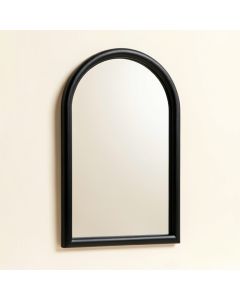 Sage Branch Framed Wall Mirror - Black (synthetic illustration; no displayed measurements)