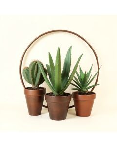 Cactus Succulent Aloe Vera Home Plants In The Pots - Farmhouse Metal Circle Wall Art (synthetic illustration; no displayed measurements)