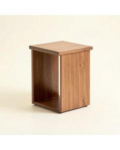 Maliyah Modern End Table (synthetic illustration; no displayed measurements)
