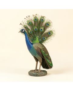 Dureau Peacock Decor (synthetic illustration; no displayed measurements)