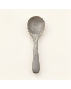 Pine Brook Cooking Spoon - Gray (synthetic illustration; no displayed measurements)