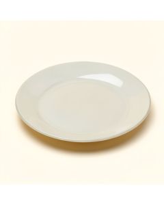 Premium Heavyweight 9 '' Melamine Salad Or Dessert Plate (synthetic illustration; no displayed measurements)