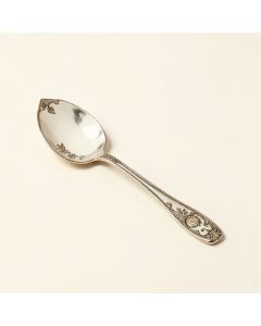 Modern Bohemian Soup Spoon (synthetic illustration; no displayed measurements)