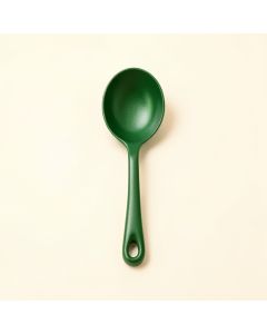 Bay Brook Cooking Spoon - Green (synthetic illustration; no displayed measurements)