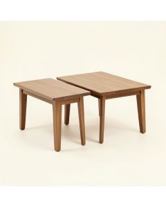 Arcturus 2 Piece Coffee Table Set (synthetic illustration; no displayed measurements)