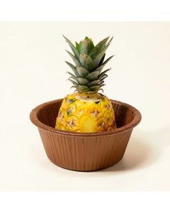 Nordic Ware Platinum Novelty Mini Pineapple Upside Down Pan (synthetic illustration; no displayed measurements)