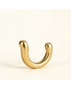 Wyoming Shower Hook In Gold (synthetic illustration; no displayed measurements)