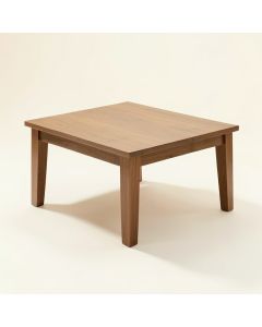 Lanita Coffee Table (synthetic illustration; no displayed measurements)
