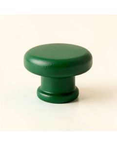 Sage Canyon Cabinet Knob Without Packaging - Green (synthetic illustration; no displayed measurements)