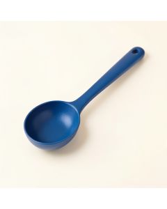 Fern Dale Cooking Spoon - Blue (synthetic illustration; no displayed measurements)