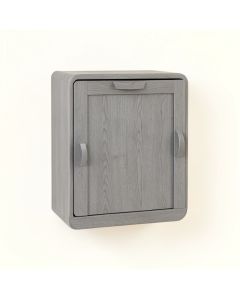 Juniper Canyon Wall-Mounted Laundry Cabinet - Gray (synthetic illustration; no displayed measurements)