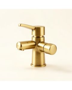 F6003 Elisa Single Hole Bathroom Faucet (synthetic illustration; no displayed measurements)