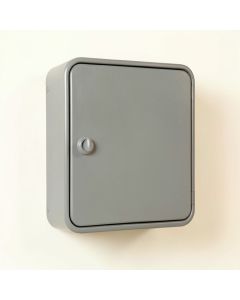 Spruce Branch Wall-Mounted Laundry Cabinet - Gray (synthetic illustration; no displayed measurements)