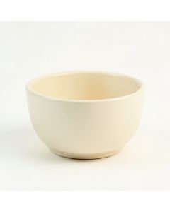 Ash Brook Empty Planter - Ivory (synthetic illustration; no displayed measurements)