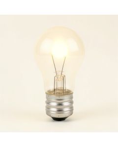 60 Watt , T10 Incandescent , Dimmable Light Bulb , Warm White ( 2700K ) E26/Medium ( Standard ) Base (synthetic illustration; no displayed measurements)