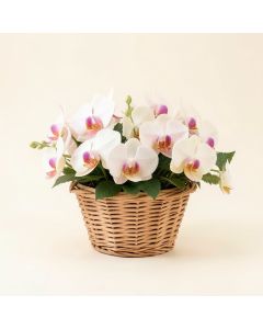 Artificial Orchids Floral Arrangements In Basket (synthetic illustration; no displayed measurements)