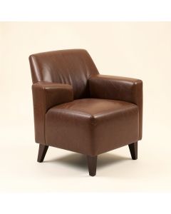Irving Upholstered Side Chair In Brown (synthetic illustration; no displayed measurements)